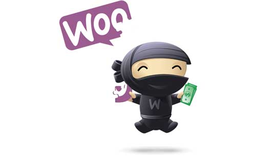 woocommerce freelance